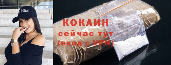 соль ск Абаза