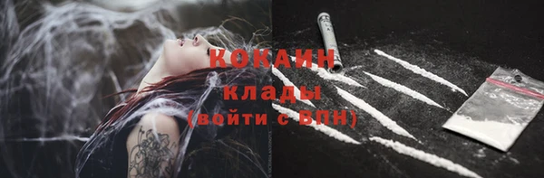 крисы Абдулино