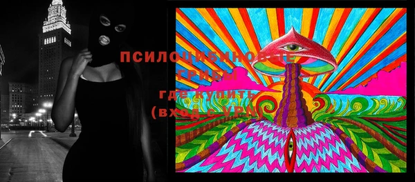 бошки Абинск