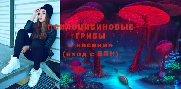 соль ск Абаза