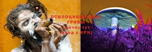 соль ск Абаза