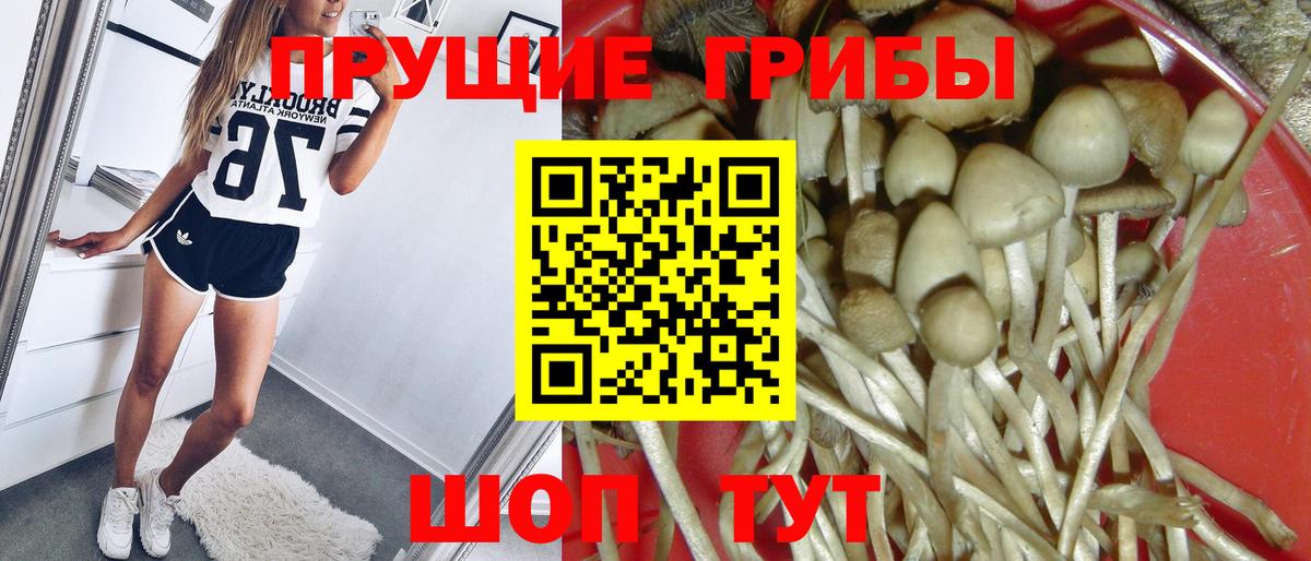 Галлюциногенные грибы мухоморы  Вход с VPN  Галлюциногенные грибы Magic Shrooms  Красноуфимск 